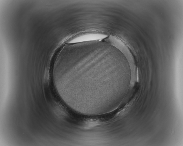 X0000086730252200704271636