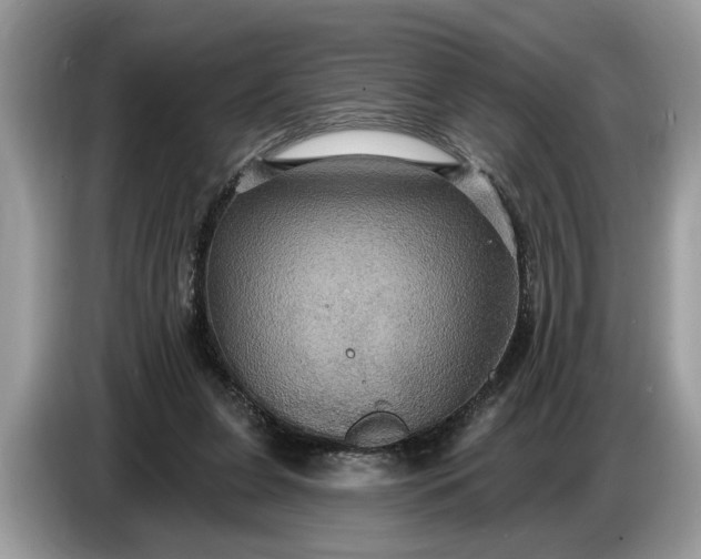 X0000086730255200704271636