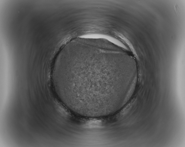 X0000086730257200704271636