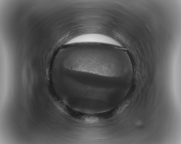 X0000086730258200704271636