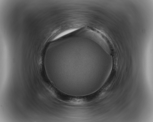 X0000086730260200704271636