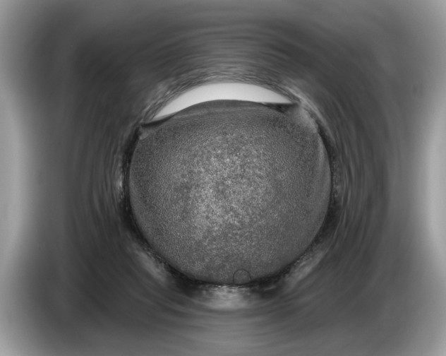 X0000086730261200704271636