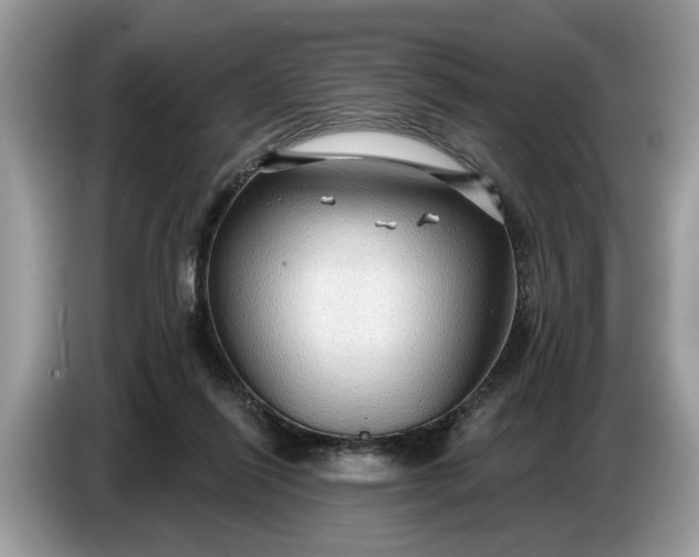 X0000086730262200704271636