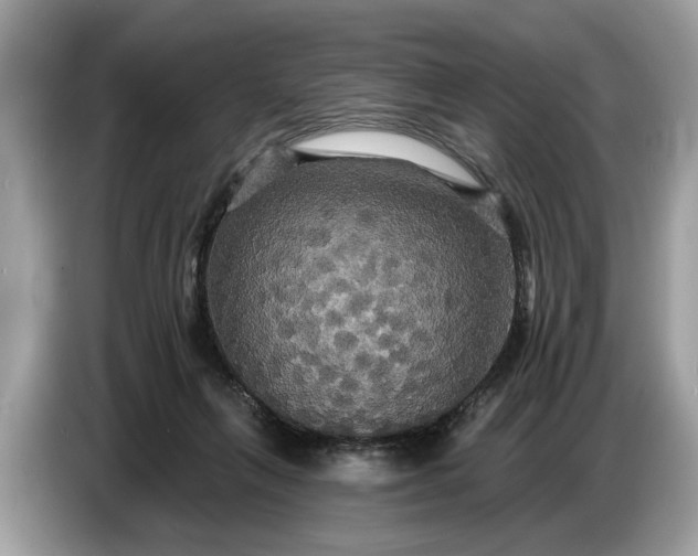 X0000086730263200704271636