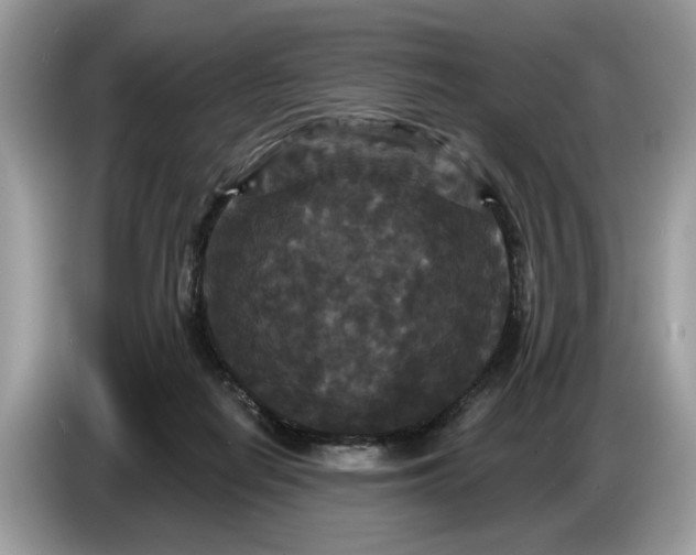 X0000086730266200704271636