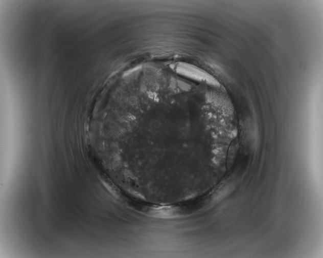 X0000086730269200704271636