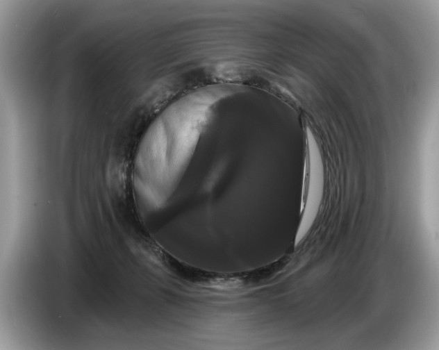 X0000086730271200704271636