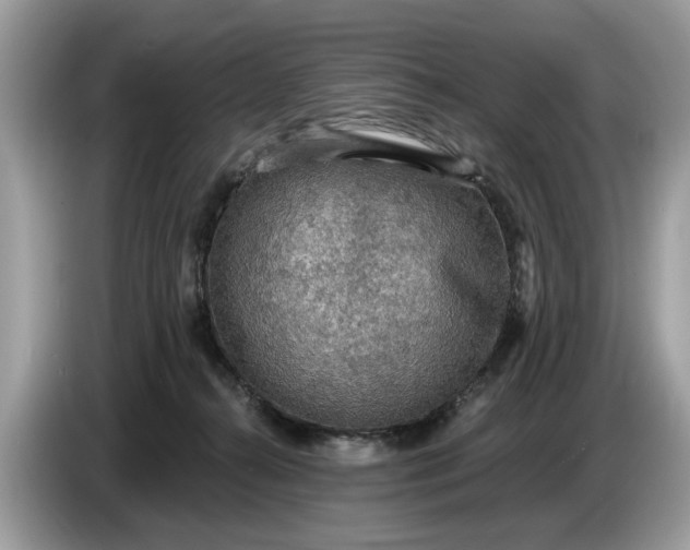 X0000086730272200704271636