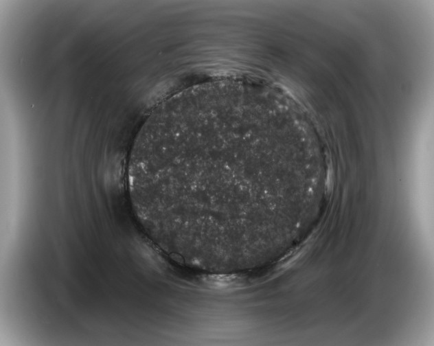 X0000086730273200704271636