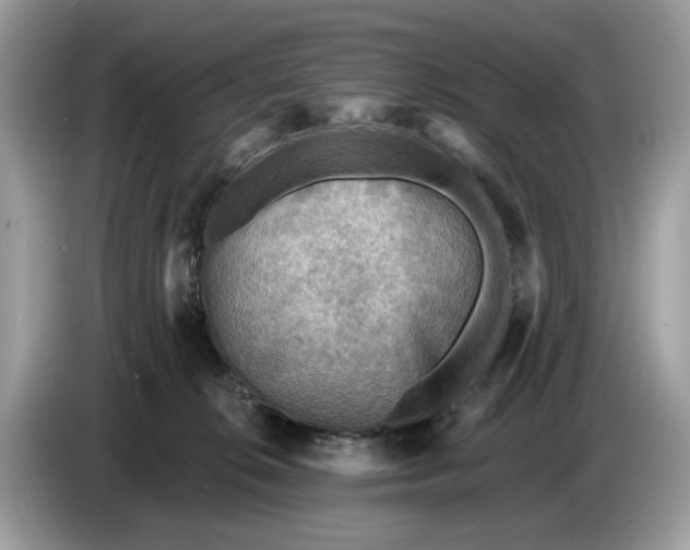 X0000086730276200704271636