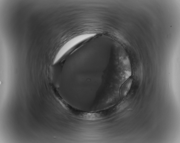 X0000086730277200704271636