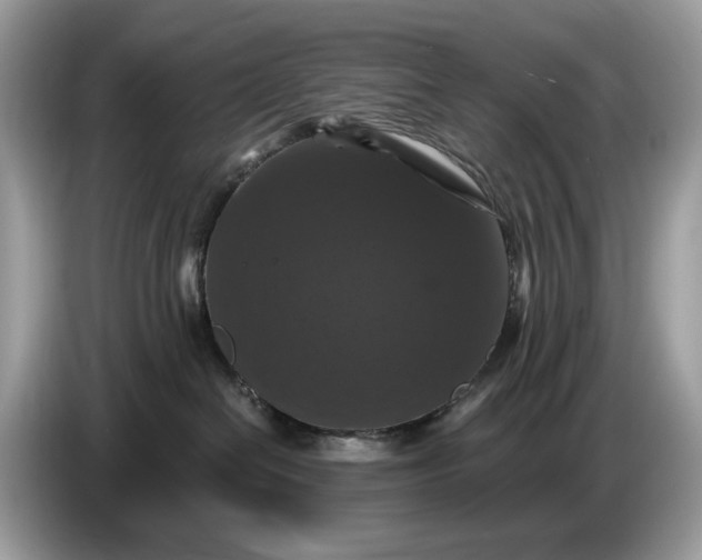 X0000086730286200704271636