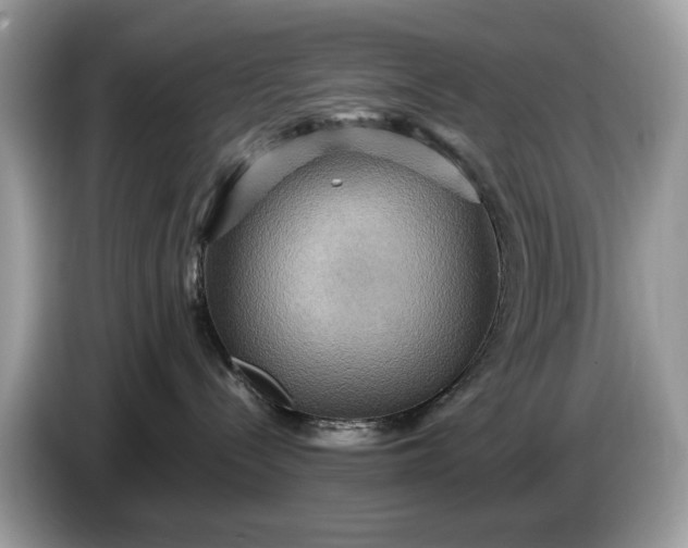 X0000086730288200704271637