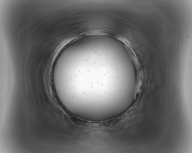 X0000086730289200704271636