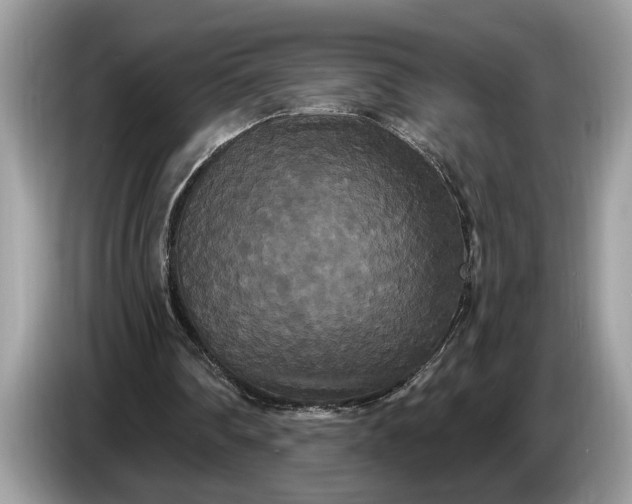 X0000086730290200704271636