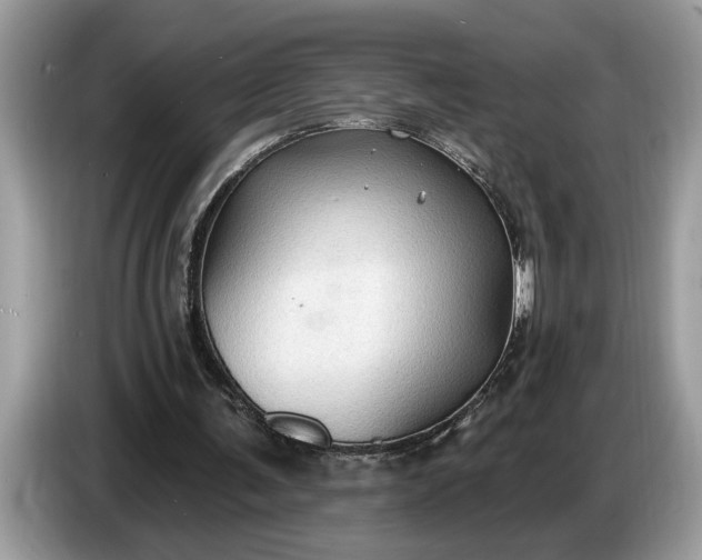 X0000086730291200704271636