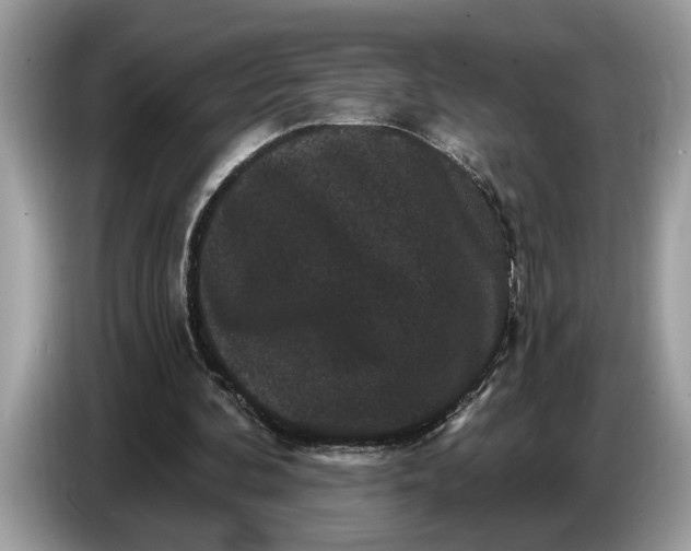 X0000086730292200704271636