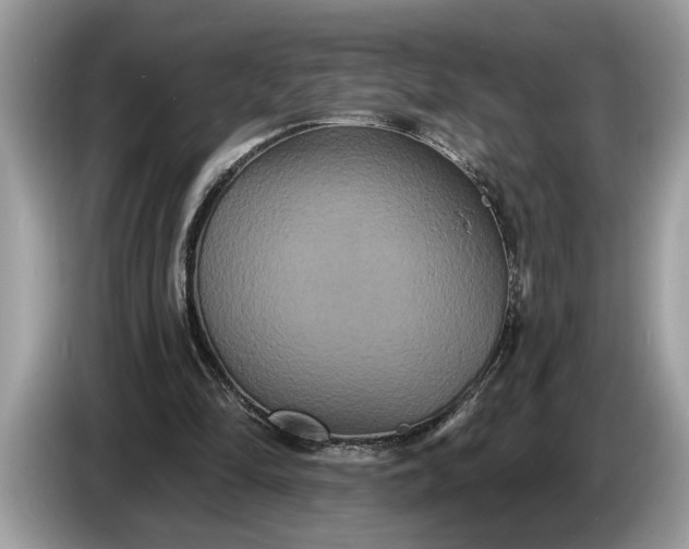 X0000086730294200704271636