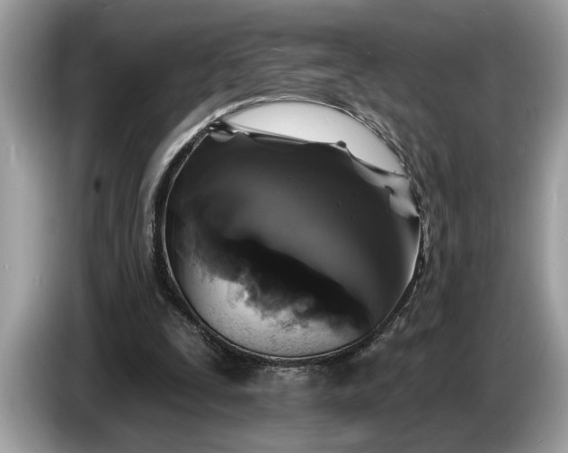 X0000086730295200704271636