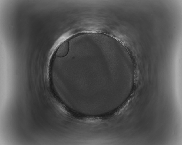 X0000086730296200704271636