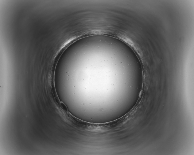 X0000086730297200704271636