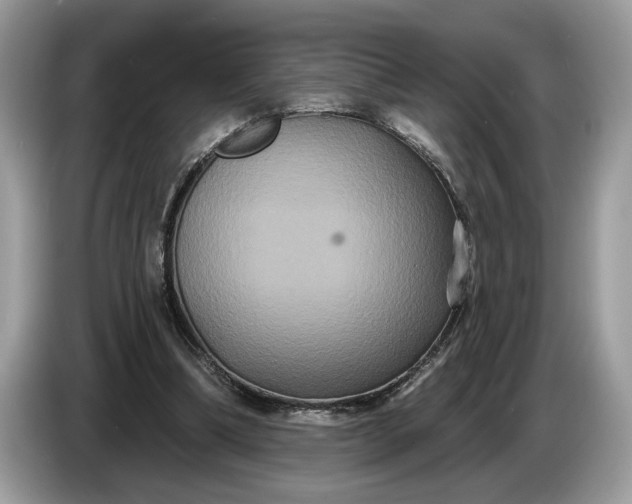 X0000086730298200704271636