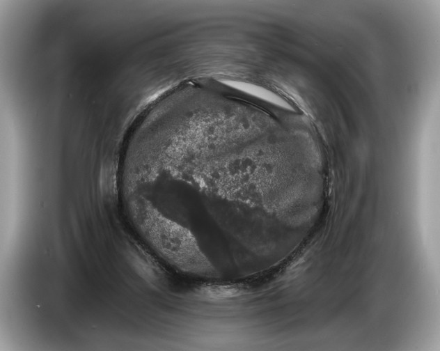 X0000086730299200704271636