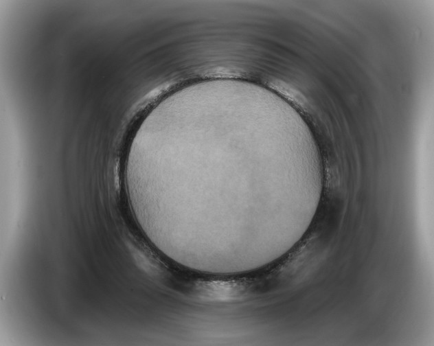 X0000086730302200704271636