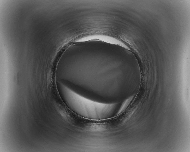 X0000086730303200704271636