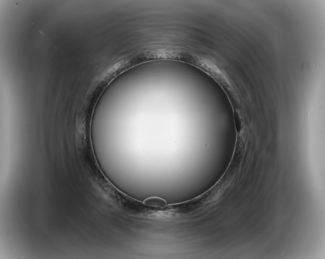 X0000086730306200704271636