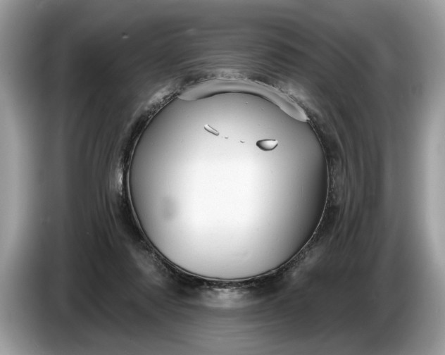 X0000086730310200704271636