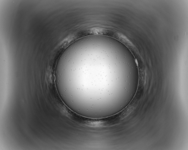 X0000086730313200704271636