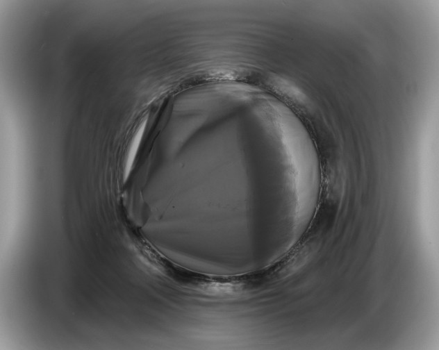 X0000086730314200704271636