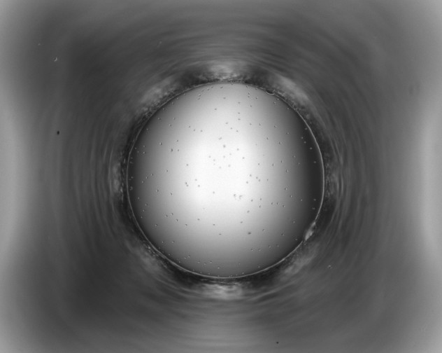 X0000086730317200704271636