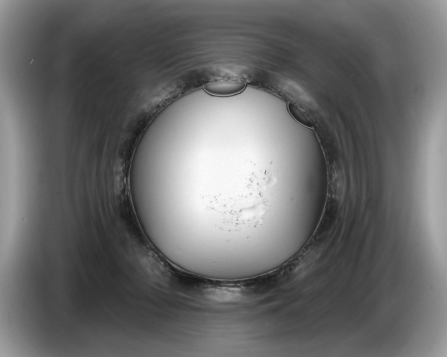 X0000086730318200704271636