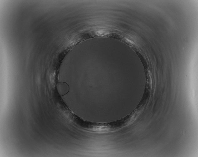 X0000086730319200704271635