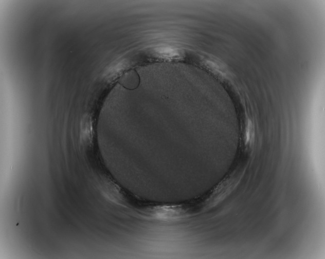 X0000086730320200704271635