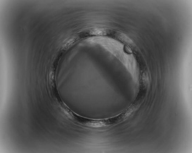 X0000086730322200704271635