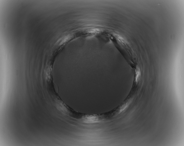 X0000086730325200704271635