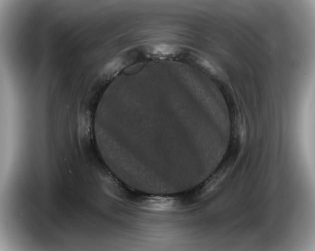 X0000086730328200704271635