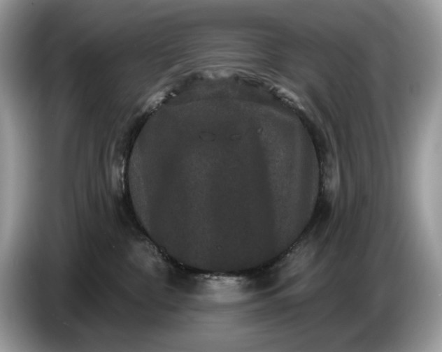 X0000086730332200704271635