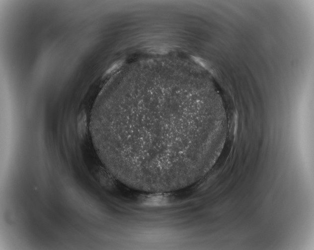 X0000086730335200704271635