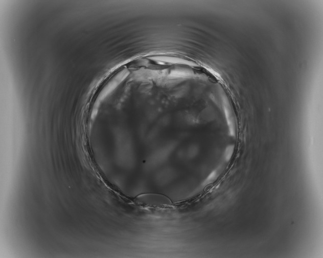 X0000086730337200704271635