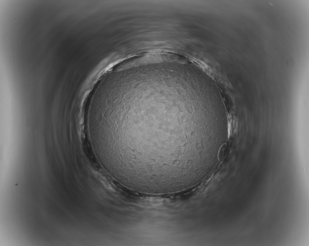 X0000086730339200704271635