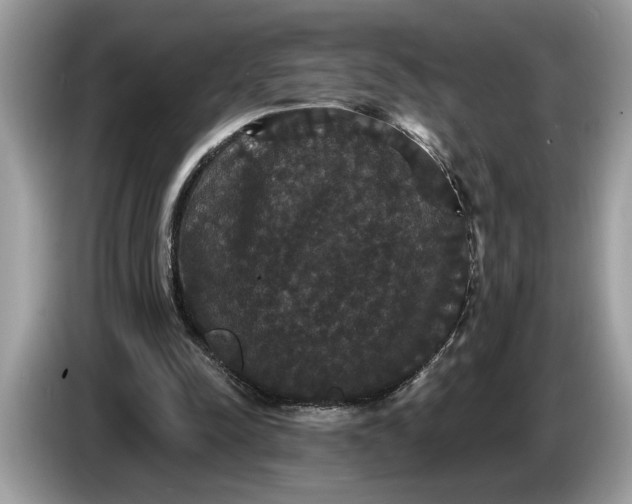 X0000086730342200704271635