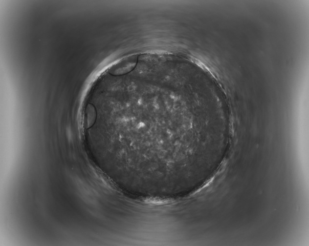 X0000086730343200704271635