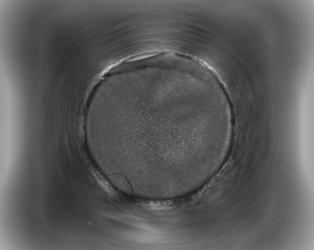 X0000086730345200704271635