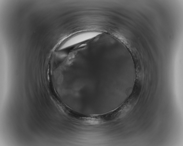 X0000086730347200704271635