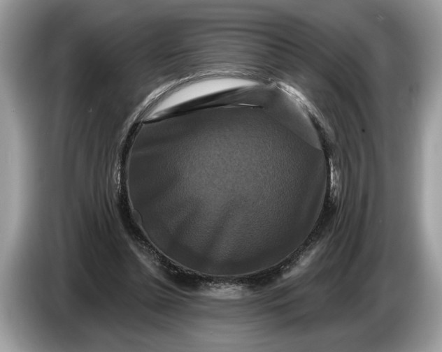 X0000086730348200704271635