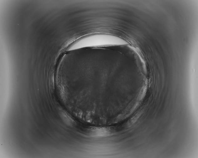 X0000086730349200704271635